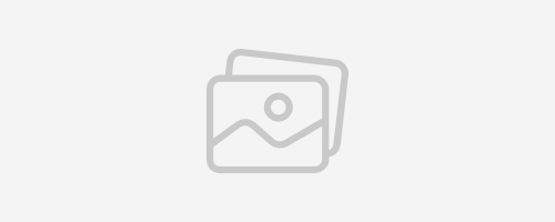 بوابة الشهادات